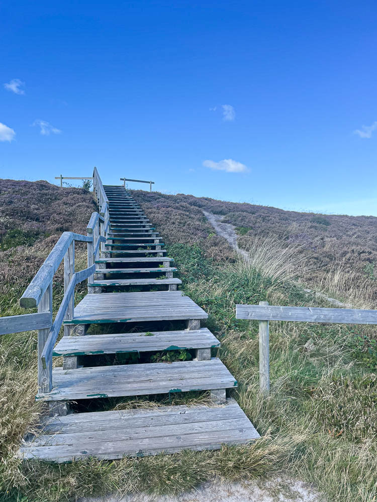 friesenstuben-1883-bargum-5669